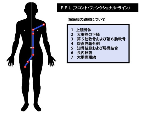東御市,上田市,小諸市,整体,指圧,ほぐしや,マッサージ,アナトミー・トレイン